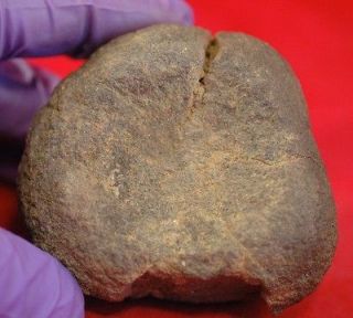 NEOLITHIC STONE GRINDING ARTIFACT FROM SAHARA   MOROCCO