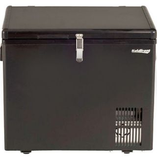 43 Qt Chest Freezer & Refrigerator, Portable Compact Cooler w/ 12V DC 