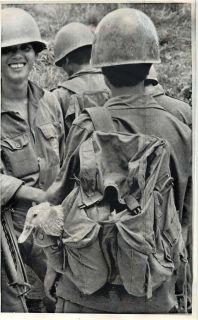 1972 Vietnamese Soldier w/ Live Duck Peeking From Haversack Original 
