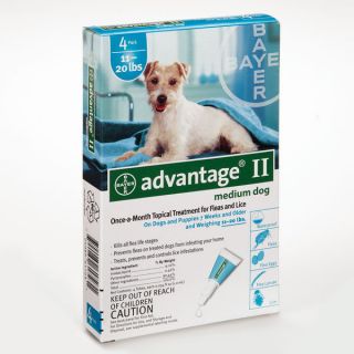 Advantage II Flea Control Treatment 4 or 6 Months Dog Cat Kitten