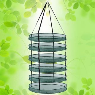 Layer Dry Net Collapsible Herb Plant Grow Tent Drying System Cure 