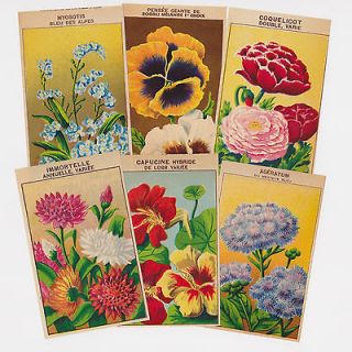 vintage seed packets in Agriculture