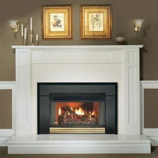 New Napoleon Gas Fireplace Insert GI3600 with Blower and Logs