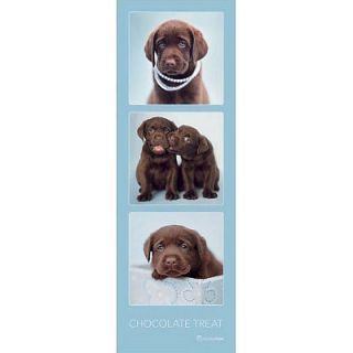 Rachael Hale Chocolate Treat POSTER Lab Puppy CUTE Dog