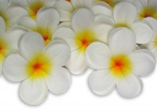 4X White Foam Floating Frangipani/Plumeria/Hawaiian Flower Heads Pool 