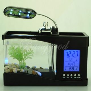 fish tank in Aquariums