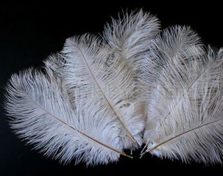   10 12 White Ostrich Drab Plume Feathers Wedding Decoration, Millinery