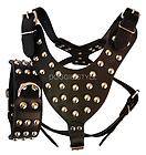 Black Leather Dog Harness & Collar SET SILVER STUDS Pit Bull 26 34 