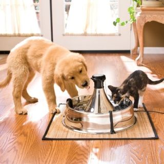 pet water fountain in Dog Supplies