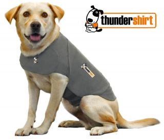   Shirt   Best Solution for Dog Anxiety   Thunder, Separation, Barking