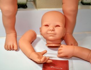 Reborn Doll Kit Celeste Toddler Adrie Stoete Incl. Body 28 Tall New