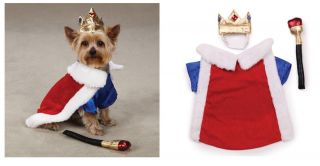 Royalty Costumes for Dogs   Halloween Dog and Puppy Costume   FREE 