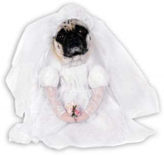 Br r ride Bride White Gown Cute Dress Up Halloween Pet Dog Cat Costume