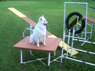 Dog Agility Equipment Jump Start Kit   Instructions, Jump Cups 