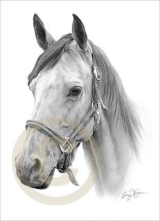 HORSE Artwork Pencil Drawing LE Print signed by artist A4 size