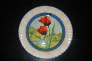 Dinner Plate Due Torri Ceramica Tulip Plate Collectible