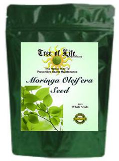 Moringa Oleifera SEEDS 200 pcs.   Organic   Bulk Pricing   FREE 