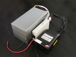 48V 25Ah LiFePO4 Lithium Battery with BMS, Fast Charger and Bag