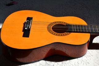 Vintage Acoustic Guitar Skylark Brand MG #102 RARE