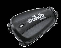 Wahoo Fitness Stride Sensor Bike Bicycle Sport Pulse Watch Garmin GPS 