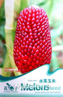 bag 10 seed red new varieties of fruit corn B011