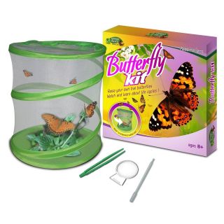 Fascinations Green Earth Biology Insect Butterfly Growing Habitat Kit