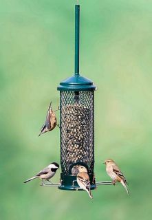 Home & Garden > Yard, Garden & Outdoor Living > Bird & Wildlife 