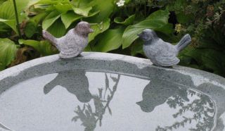 stone bird bath in Bird & Wildlife Accessories