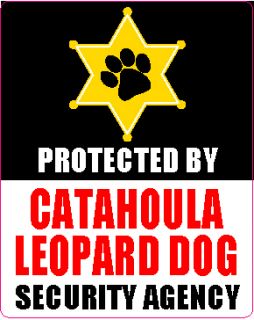 catahoula leopard dog in Clothing, 