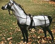 Miniature Horse Harness in Driving, Horsedrawn