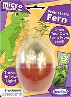   Asparagus Fern Micro Terrarium Indoor Plant Grow Your Own Seed