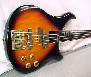 epiphone bass in Bass