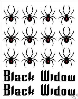 Bike Frame Name and Black Widow Set Decals Stickers