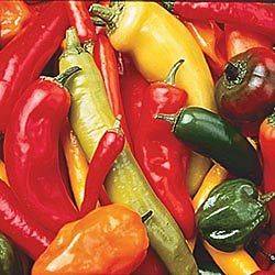 HOT PEPPER SEED MIX   25 HOT PEPPERS FRESH SEEDS FREE SHIPPING