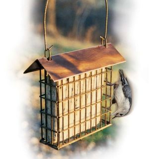 bird cages double