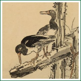 Bairei Japanese Meiji Antique Birds Woodblock Print