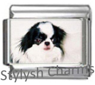   CHIN DOG Photo Italian Charm 9mm Link   1 x DG254 Single Bracelet Link