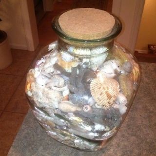 Large Lot Of Seashells In Two Decorative Containers. Great Home 