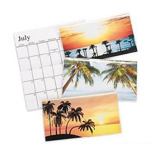 2013 2014 2 year monthly tropical pocket planner calendar palm