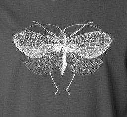 MOTH T Shirt white ink vintage insect butterfly wings retro 100% 