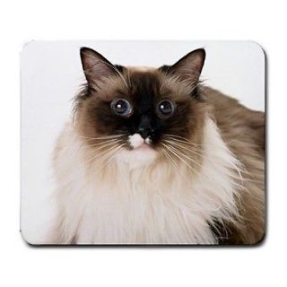 Cat Kitten Ragdoll Cute Mouse Pad MousePad