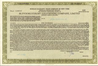 Blyvooruitzich​t Gold Mining Company South Africa mine stock 