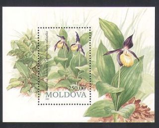 Moldova 1993 Ladys slipper Orchid/Flowers​/Orchids/Natur​e/Plants 