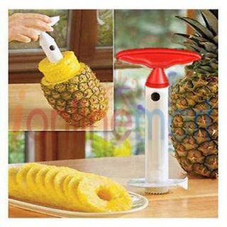 Newly listed Easy Fruit Pineapple Corer Slicer Peeler Parer Cutter