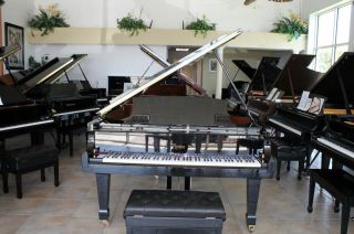 steinway player piano in Grand, Baby Grand