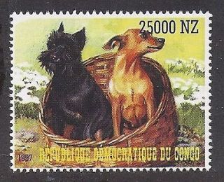 Dog Art Body Postage Stamp MINIATURE PINSCHER & Black SCHNAUZER Congo 