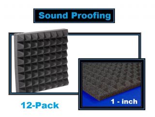 12)1Pyramid Vocal/Recordin​g Studio SoundProof(12​Foam
