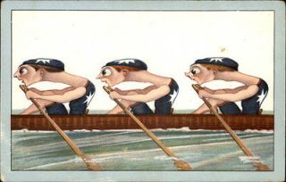 Funny Looking Men Scull Boat Rowing Crew Comic c1910 Postcard