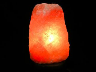 HIMALAYAN SALT CRYSTAL LAMP WITH DIMMER 4 6 LBS NO RESERVE! RETAIL $85