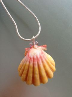  & BEAUTIFUL* Yellow & Pink Sunrise Shell Necklace, Sterling Silver